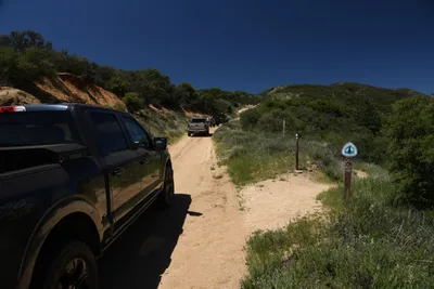 DSC_5884 (Large).JPG